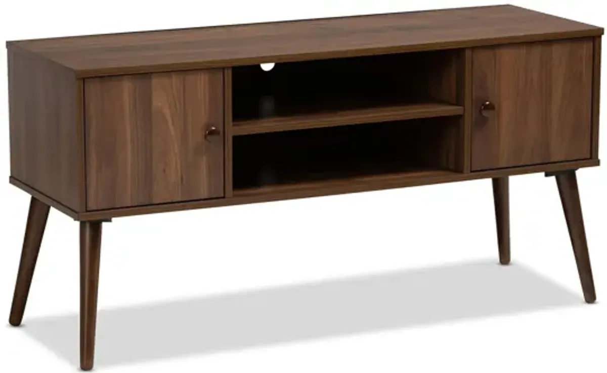 Alard 2-Door Wood TV Stand