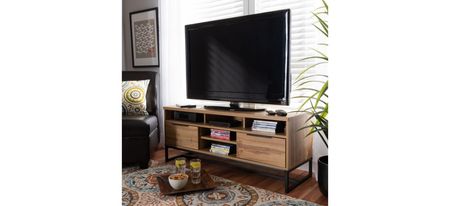 Reid 2-Drawer TV Stand in Oak/Black by Wholesale Interiors