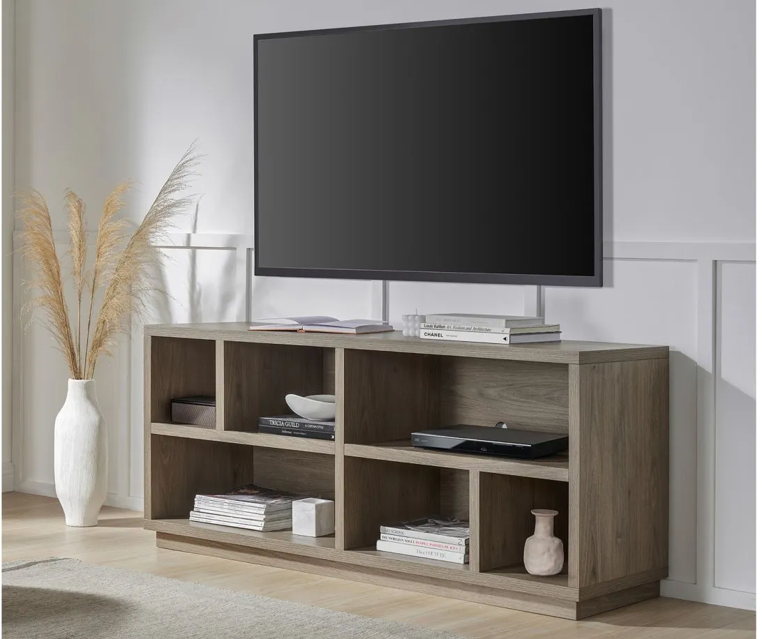 Holland TV Stand in Antiqued Gray Oak by Hudson & Canal