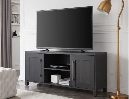 Miller TV Stand in Charcoal Gray by Hudson & Canal