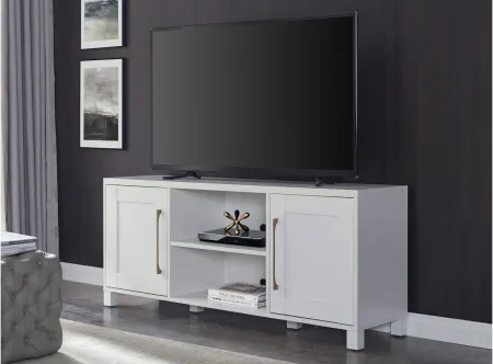 Miller TV Stand in White by Hudson & Canal