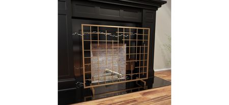 Fanning Fireplace Screen in Gold by SEI Furniture