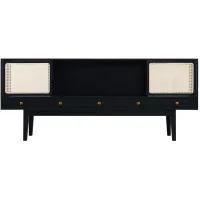 Talia Media Console in Black by SEI Furniture