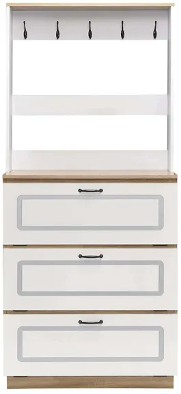 Hewett Shoe Cabinet in White by Acme Furniture Industry