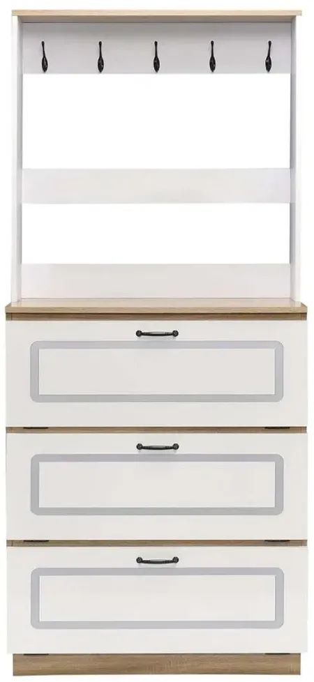Hewett Shoe Cabinet in White by Acme Furniture Industry