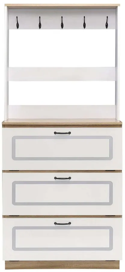 Hewett Shoe Cabinet in White by Acme Furniture Industry