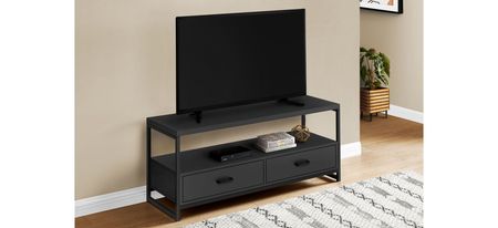 48" Monarch Storage TV Stand in Black by Monarch Specialties