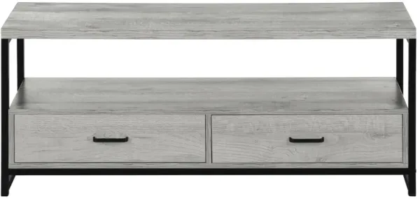 48" Monarch Storage TV Stand