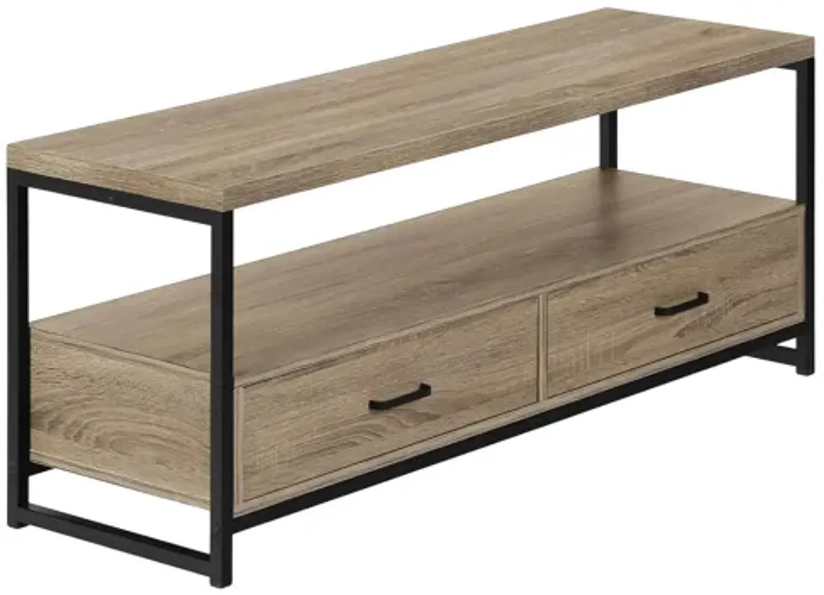 48" Monarch Storage TV Stand