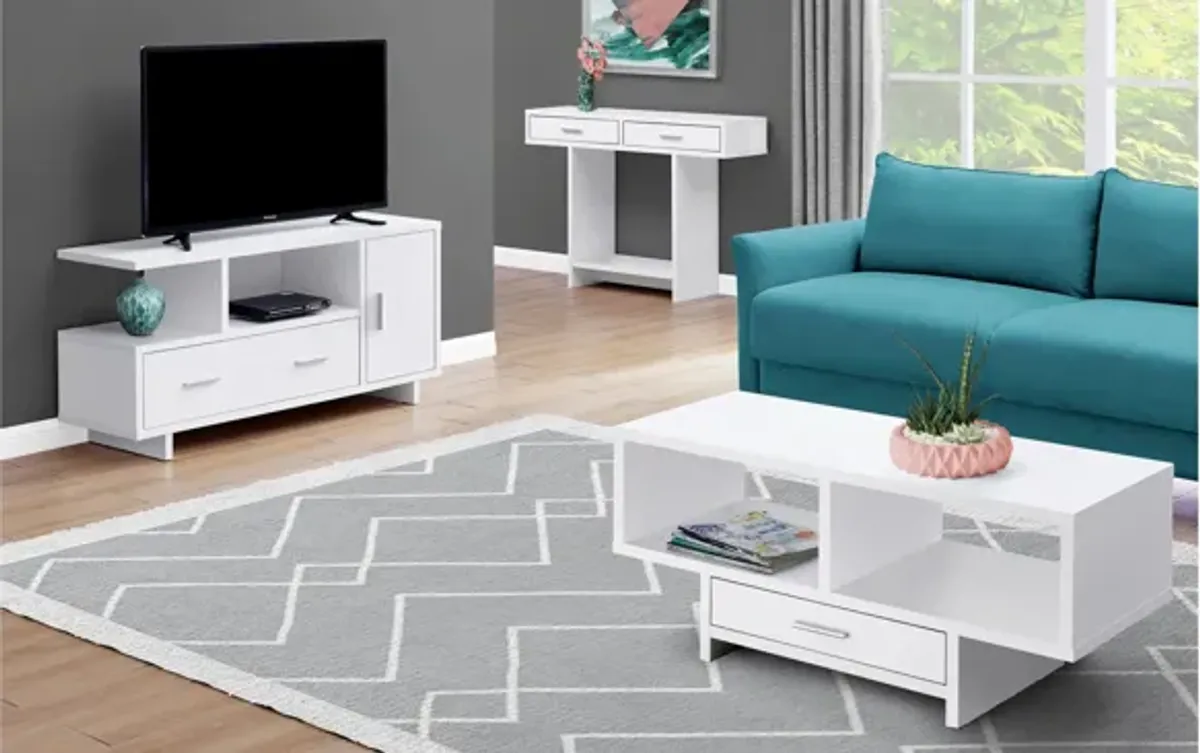 48" Monarch Storage TV Stand
