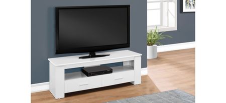 48" Monarch Storage TV Stand in White by Monarch Specialties