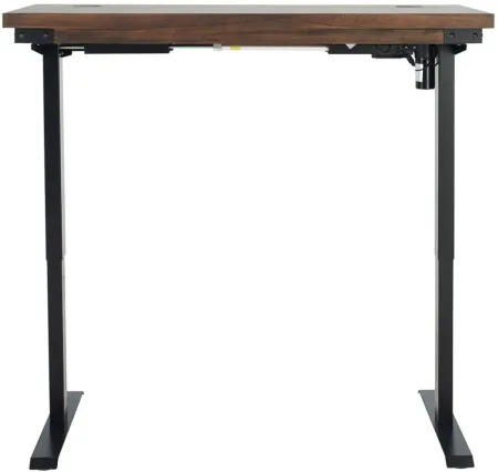 Pepperdine Sit/Stand Desk in Auburn by Martin Furniture