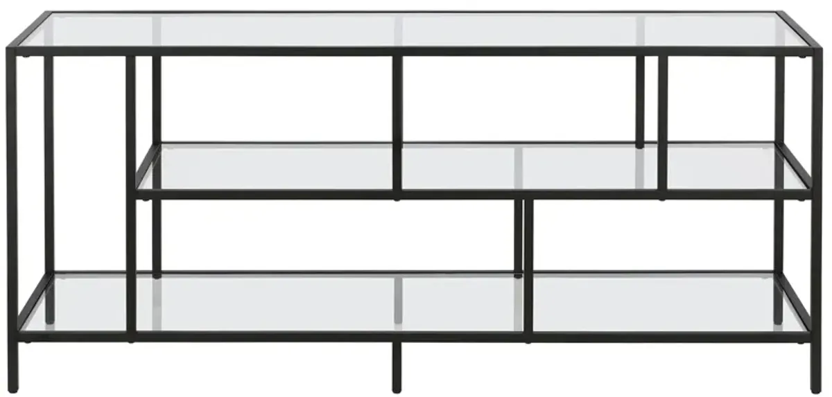 Winthrop 55" TV Stand with Glass Shelves in Blackened Bronze by Hudson & Canal