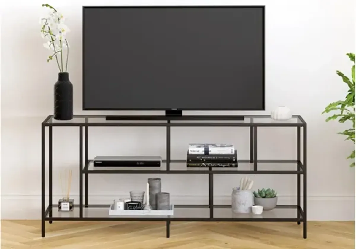 Winthrop 55" TV Stand with Glass Shelves