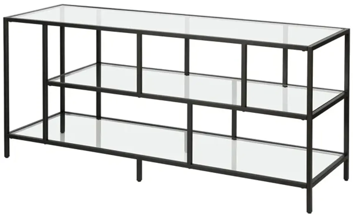 Winthrop 55" TV Stand with Glass Shelves