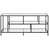 Winthrop 55" TV Stand with Glass Shelves in Blackened Bronze by Hudson & Canal