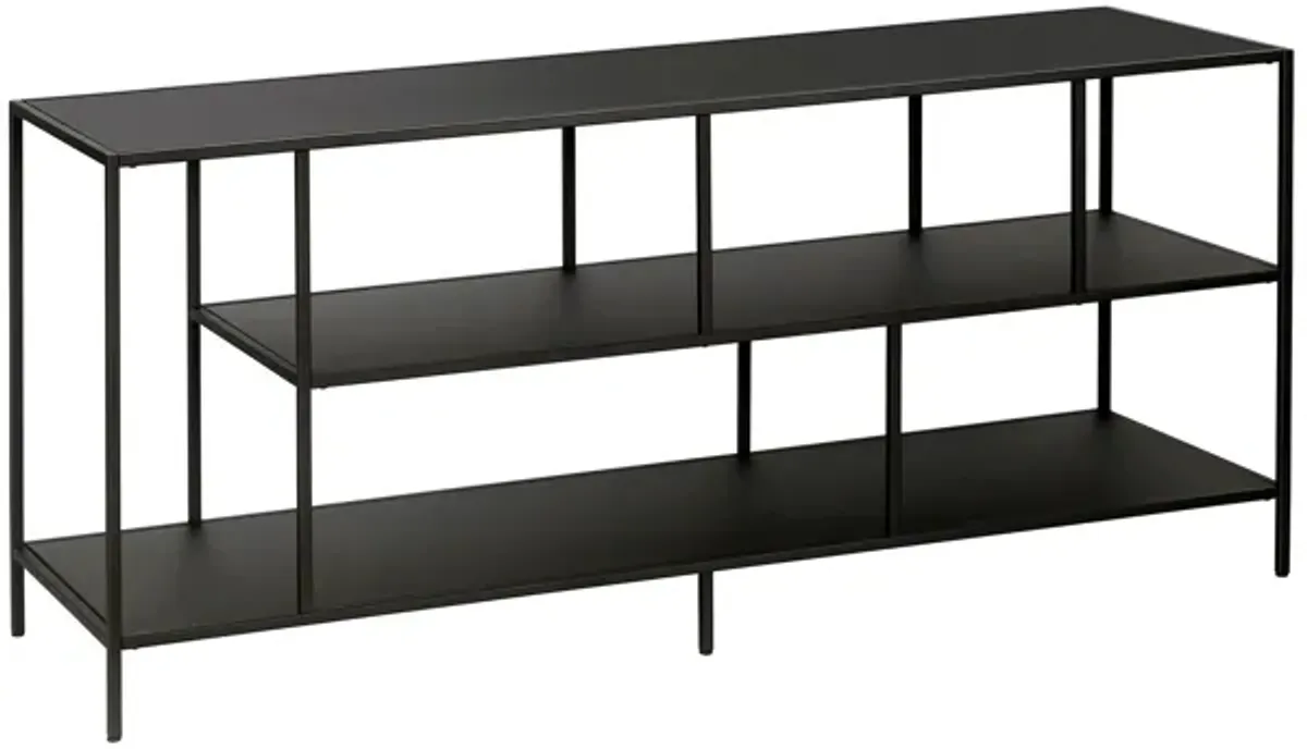 Winthrop 55" TV Stand with Metal Shelves