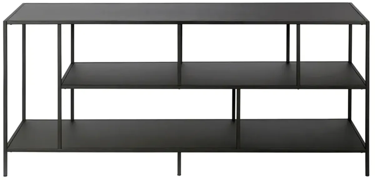 Winthrop 55" TV Stand with Metal Shelves in Blackened Bronze by Hudson & Canal