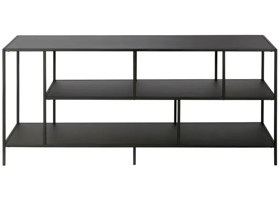 Winthrop 55" TV Stand with Metal Shelves in Blackened Bronze by Hudson & Canal