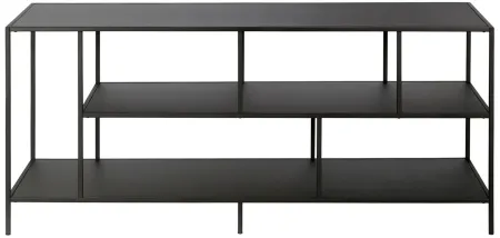 Winthrop 55" TV Stand with Metal Shelves in Blackened Bronze by Hudson & Canal