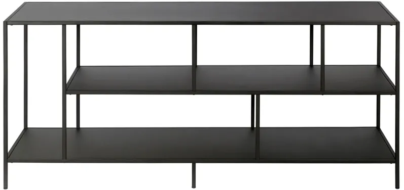 Winthrop 55" TV Stand with Metal Shelves in Blackened Bronze by Hudson & Canal