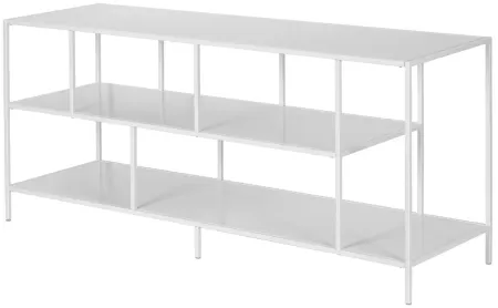 Winthrop 55" TV Stand with Metal Shelves in Matte White by Hudson & Canal