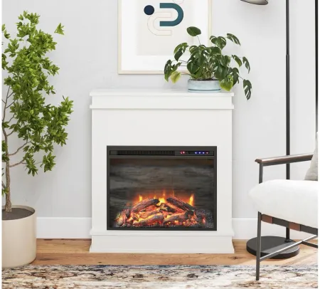 Mateo Electric Fireplace in White by DOREL HOME FURNISHINGS