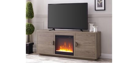 Dakota TV Stand with Crystal Fireplace in Antiqued Gray Oak by Hudson & Canal