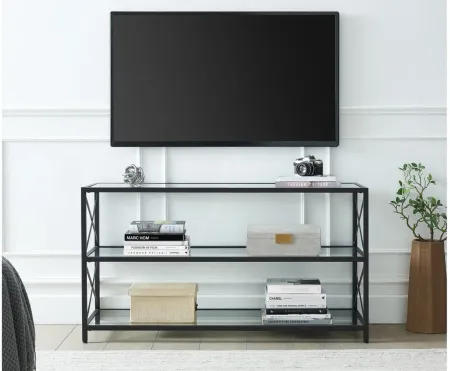 Gallinule TV Stand in Blackened Bronze by Hudson & Canal