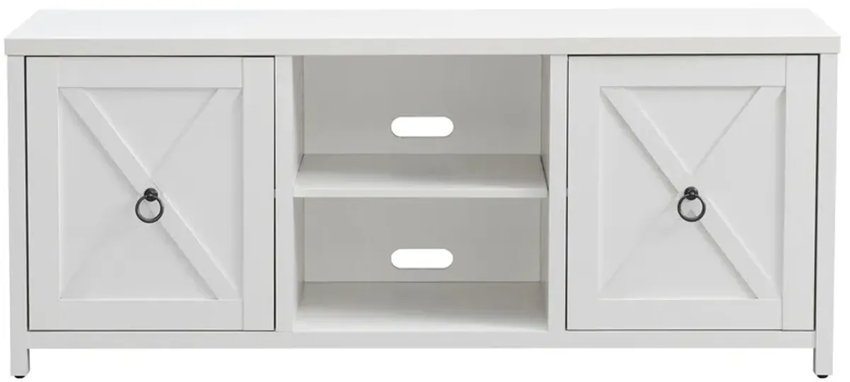 Jacana TV Stand in White by Hudson & Canal