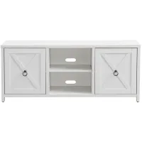 Jacana TV Stand in White by Hudson & Canal