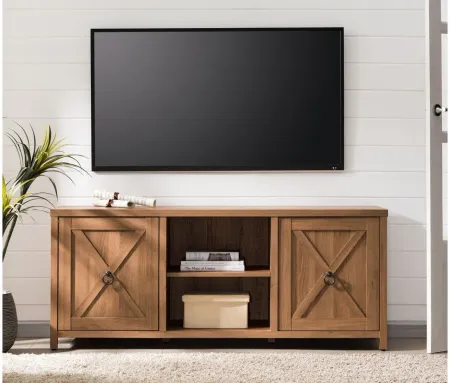 Jacana TV Stand in Golden Oak by Hudson & Canal