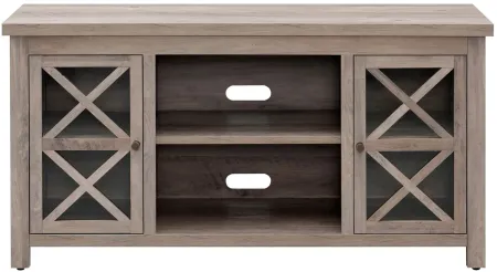 Eve TV Stand in Gray Oak by Hudson & Canal