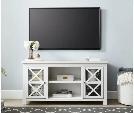 Eve TV Stand in White by Hudson & Canal