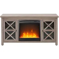 Eve TV Stand with Crystal Fireplace Insert in Gray Oak by Hudson & Canal