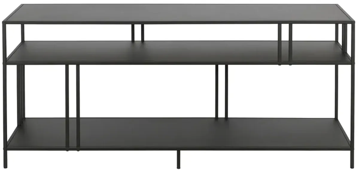 Moorhen TV Stand with Metal Shelves in Blackened Bronze by Hudson & Canal