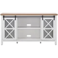 Clementine 58" TV Stand in White/Golden Oak by Hudson & Canal