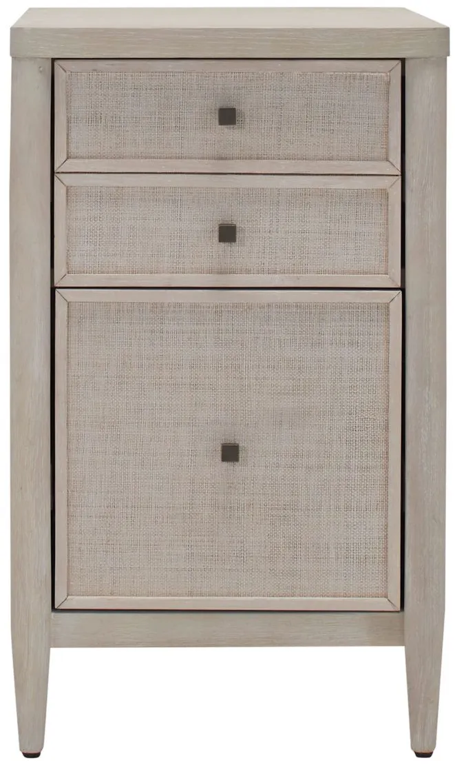 Caspian File Cabinet in Ivory by Riverside Furniture