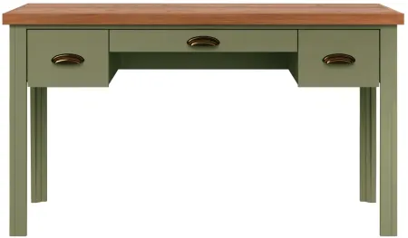 Vineyard Writing Desk in Sage with Fruitwood by Legends Furniture