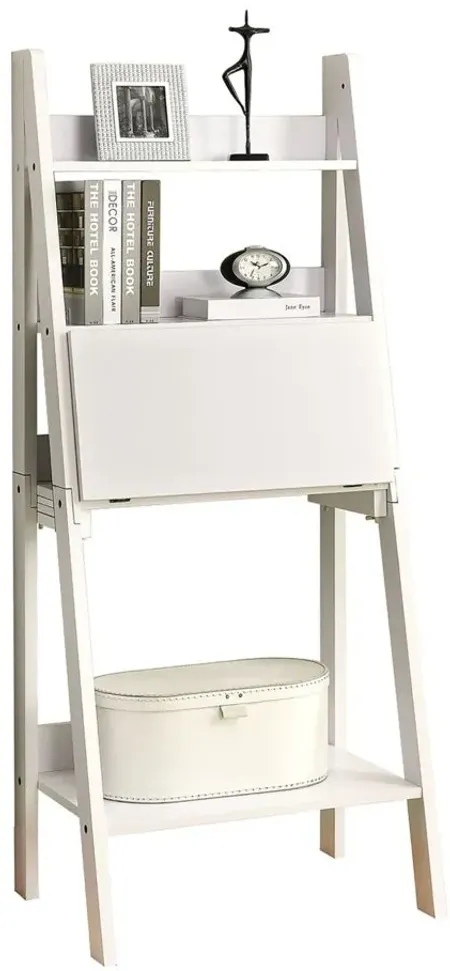 Leyna Computer Desk in White by Monarch Specialties