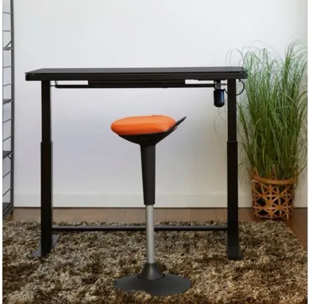 Brynn Sit/Stand Desk in Black by Unique Furniture