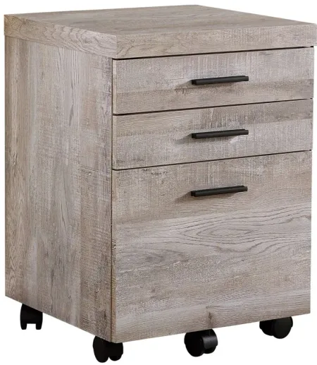 Ogden File Cabinet in Taupe by Monarch Specialties