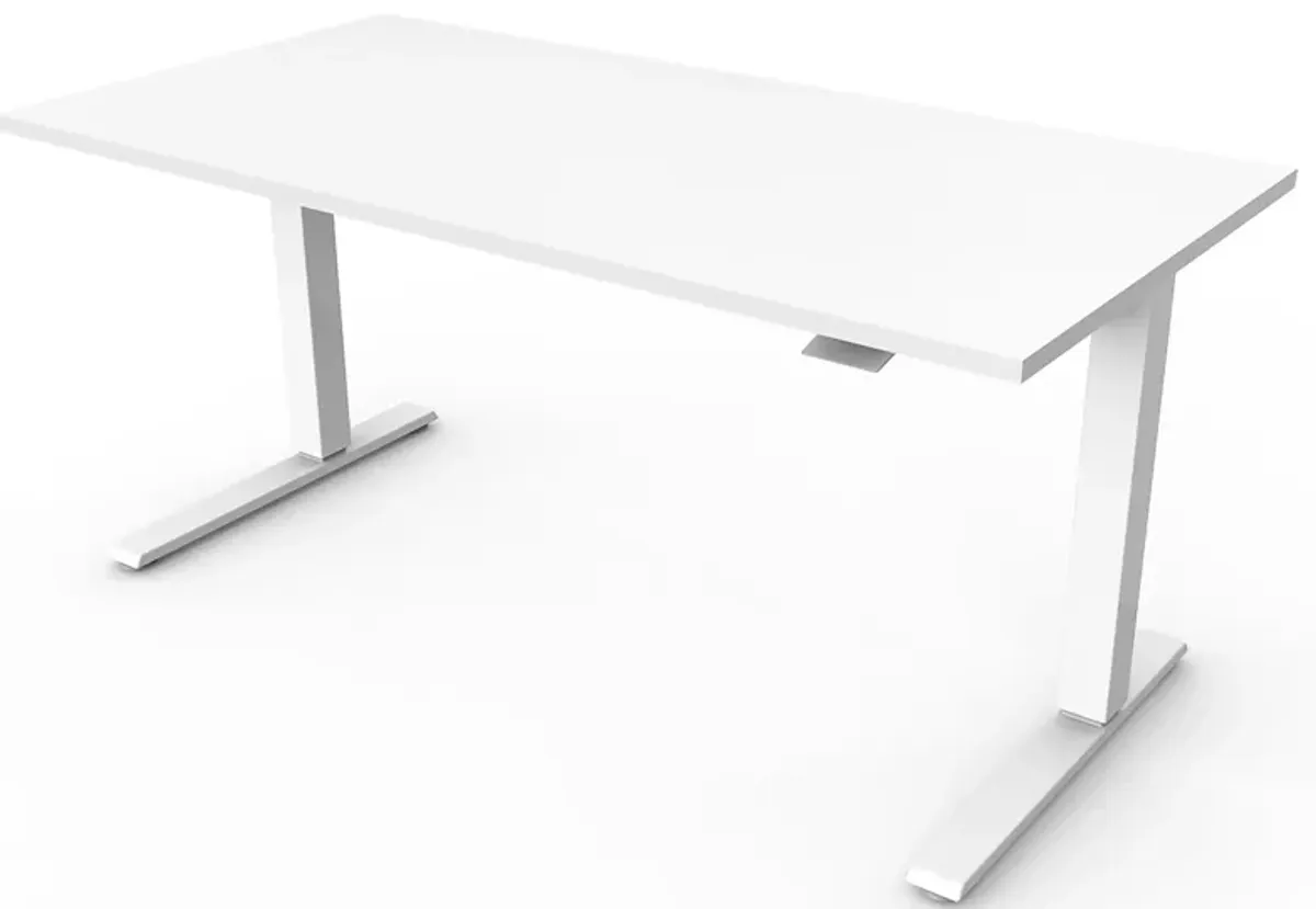 Humanscale Float 48" Adjustable Sit/Stand Computer Desk in White by Humanscaleoration