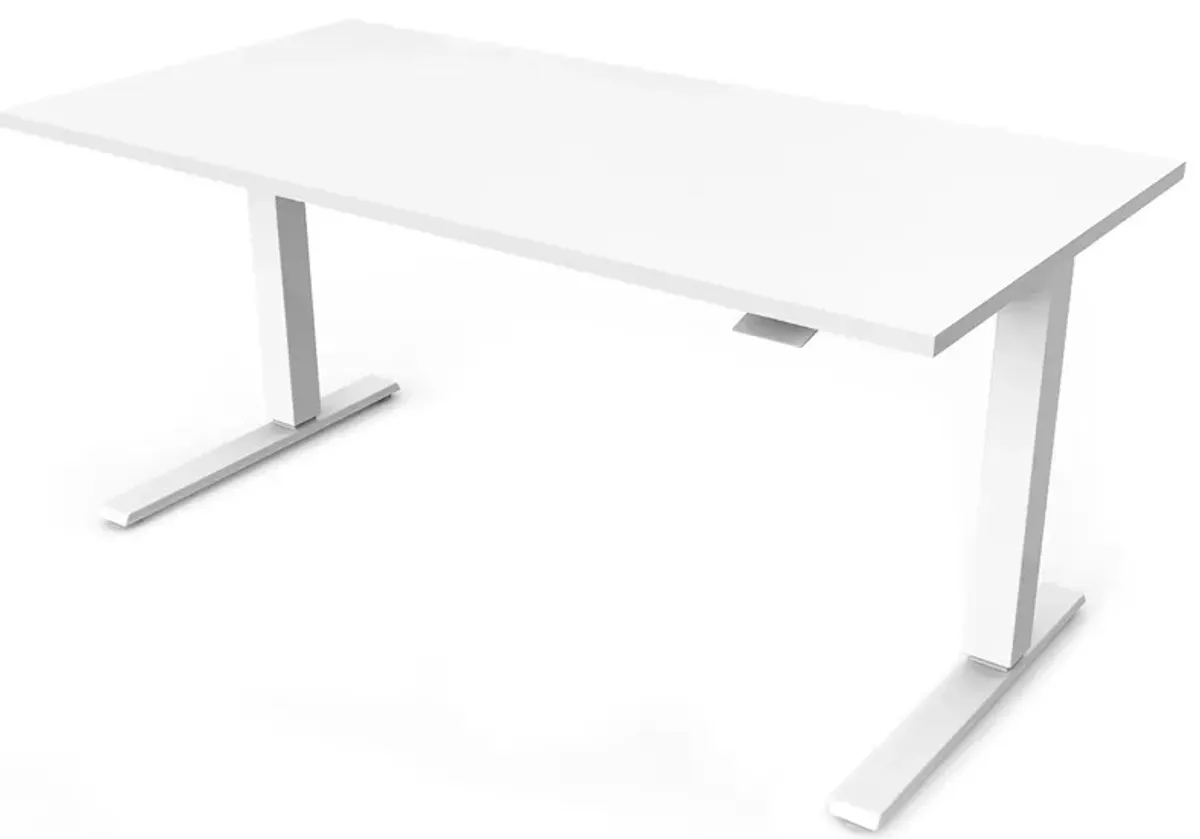 Humanscale Float 60" Adjustable Sit/Stand Computer Desk in White by Humanscaleoration