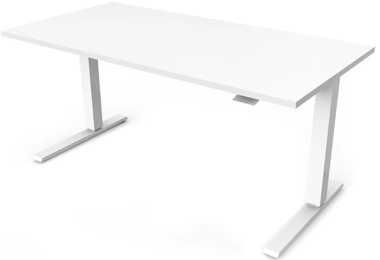 Humanscale Float 60" Adjustable Sit/Stand Computer Desk in White by Humanscaleoration