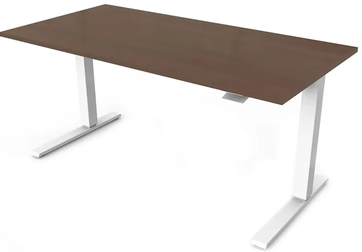 Humanscale Float 48" Adjustable Sit/Stand Computer Desk in Walnut Top w/White Base by Humanscaleoration