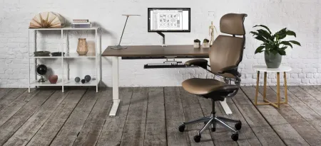 Humanscale Float 60" Adjustable Sit/Stand Computer Desk in Walnut by Humanscaleoration