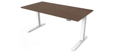 Humanscale Float 60" Adjustable Sit/Stand Computer Desk in Walnut by Humanscaleoration