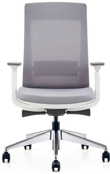 Elevate Office Chair in White/Gray