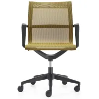 Kinetic Black Frame Office Chair with Mesh Back in Black/Dandelion